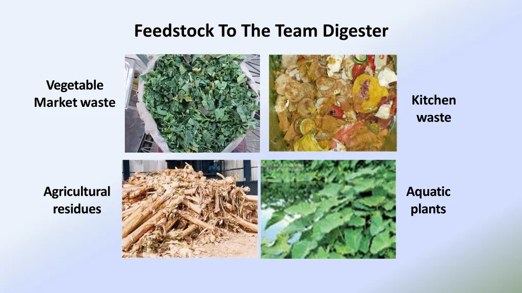 feedstock to the team digester