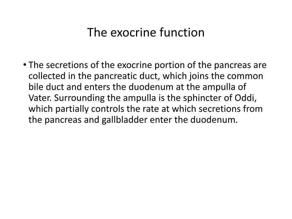 the exocrine function