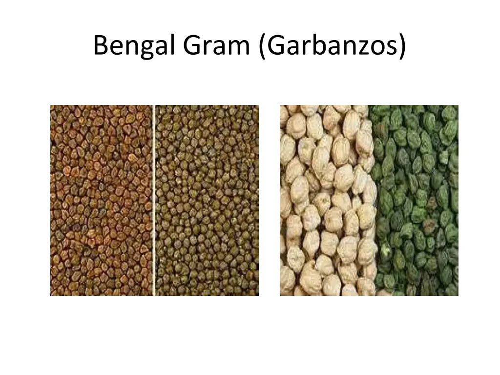 bengal gram garbanzos