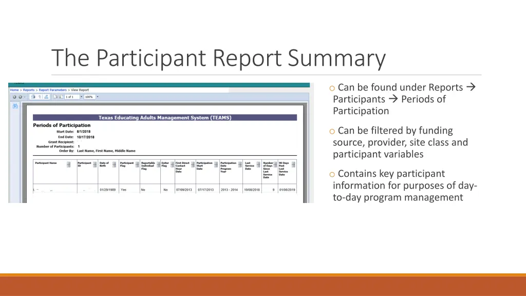 the participant report summary