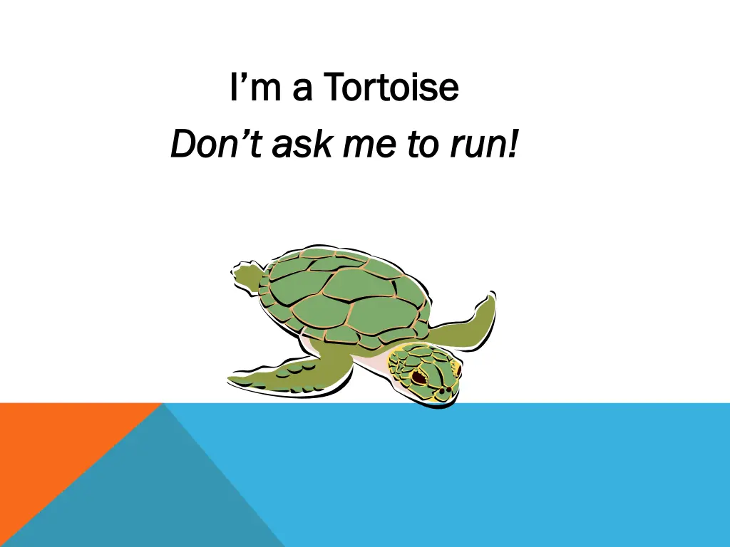 i m a tortoise i m a tortoise