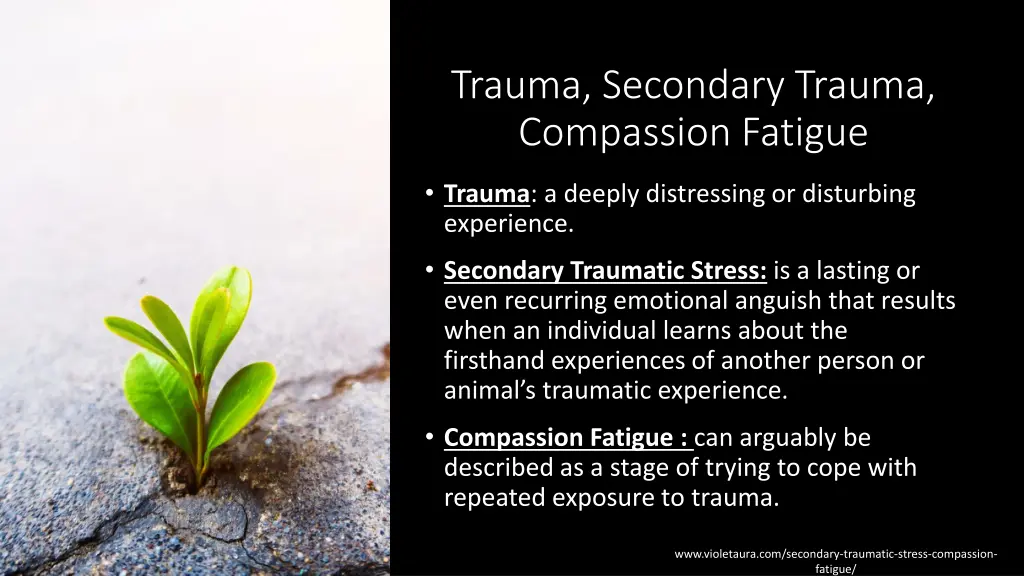 trauma secondary trauma compassion fatigue