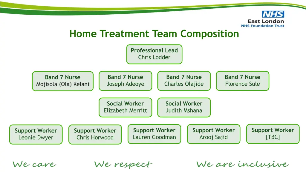 home treatment team composition