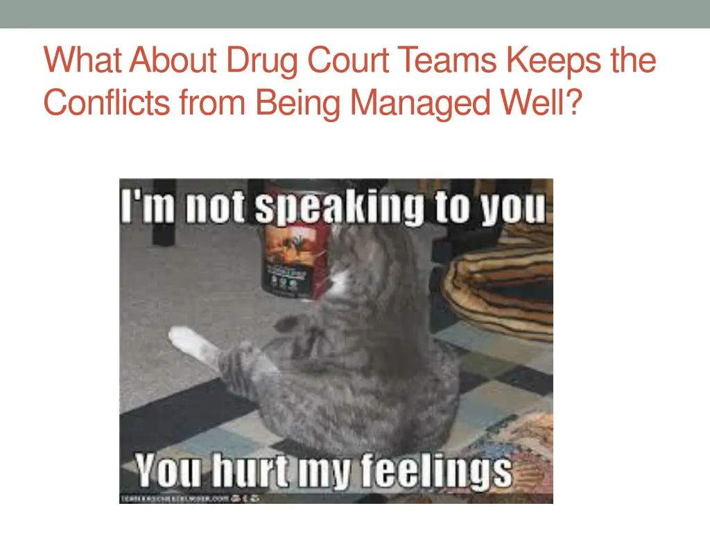 what about drug court teams keeps the conflicts