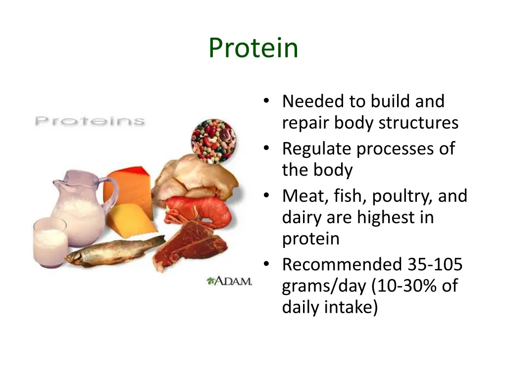 protein