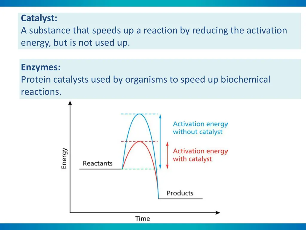 catalyst a substance that speeds up a reaction