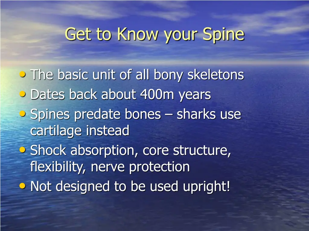 get to know your spine