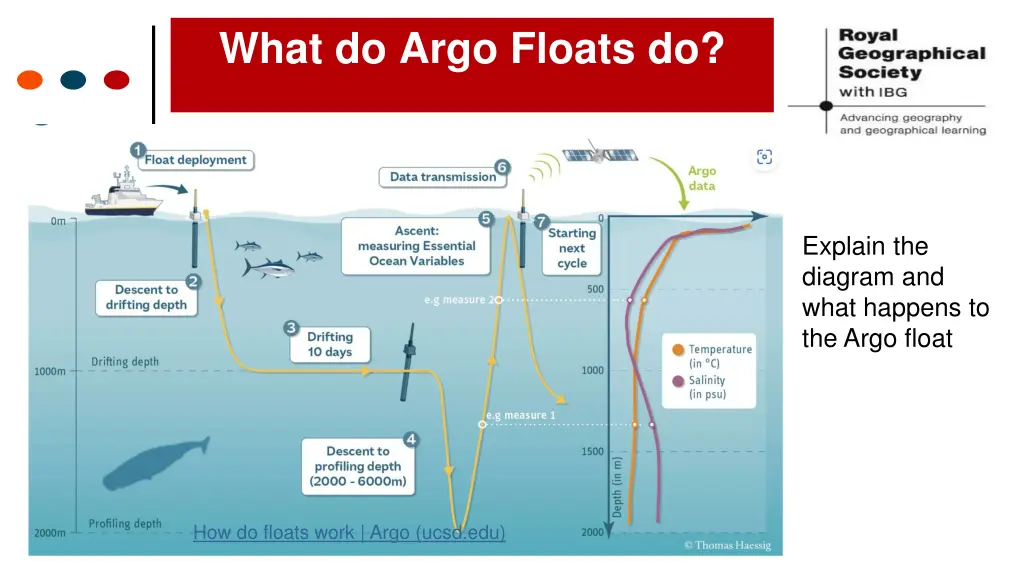 what do argo floats do