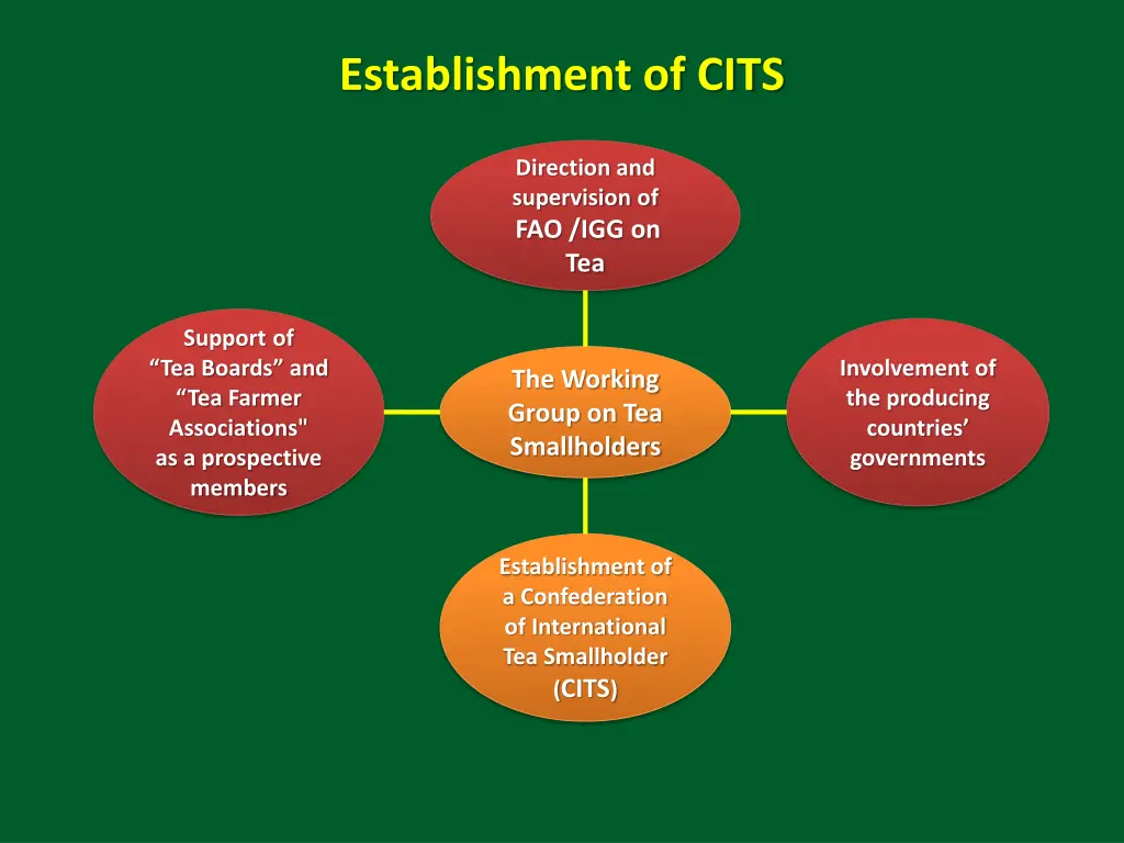 establishment of cits