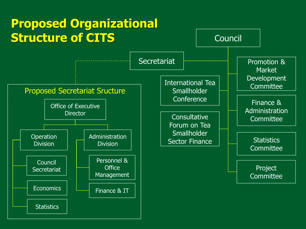 proposed organizational structure of cits