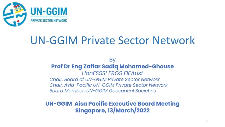 un ggim private sector network