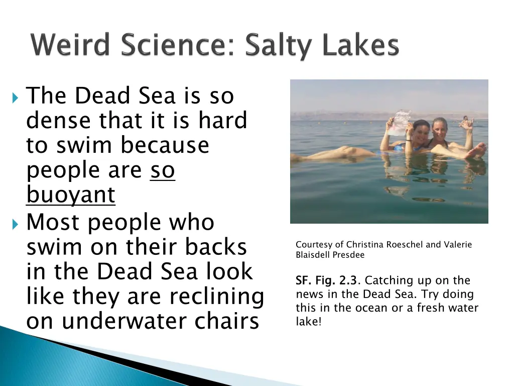 the dead sea is so dense that it is hard to swim