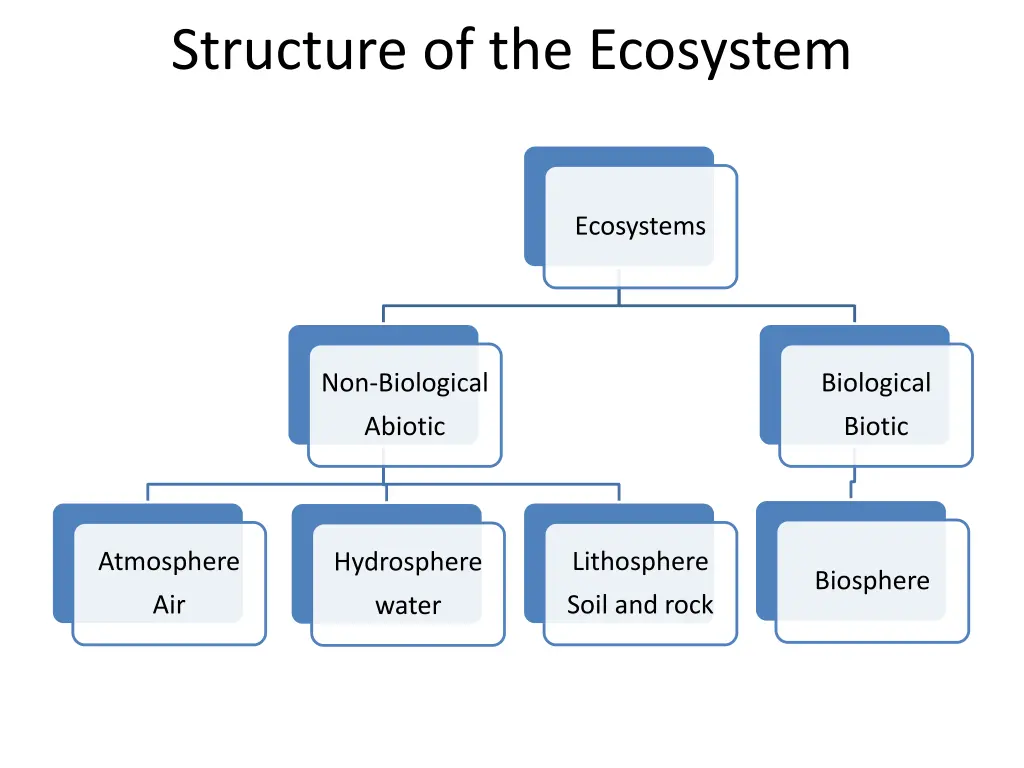 structure of the ecosystem