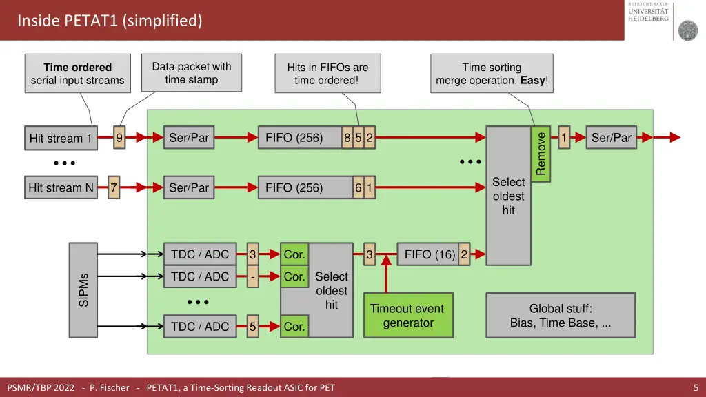 inside petat1 simplified