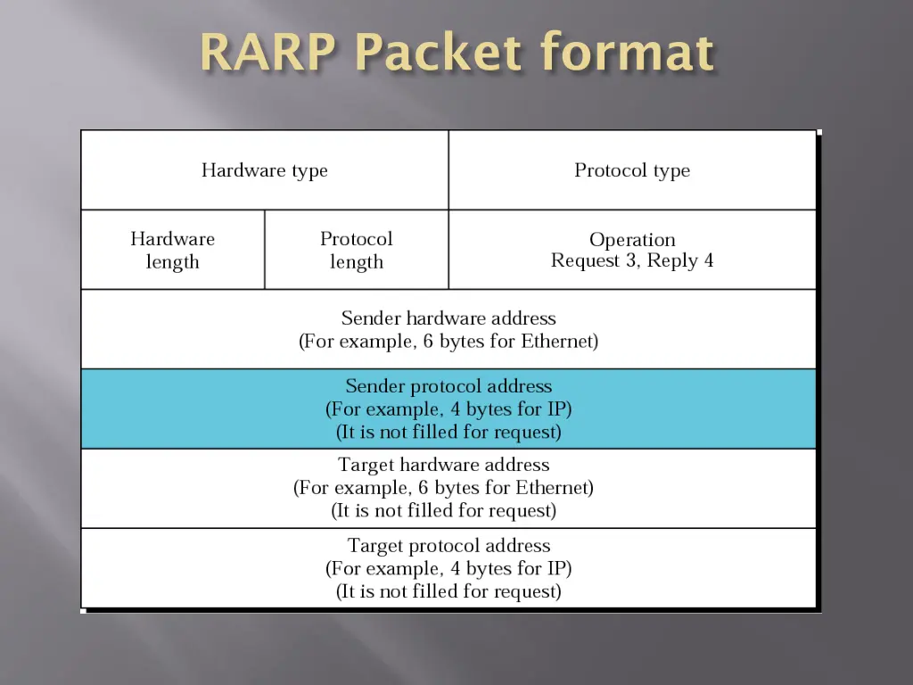 rarp packet format