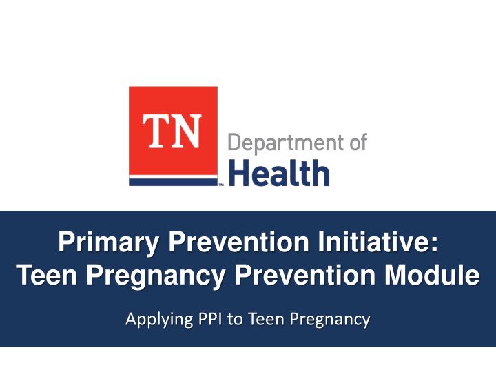 primary prevention initiative teen pregnancy