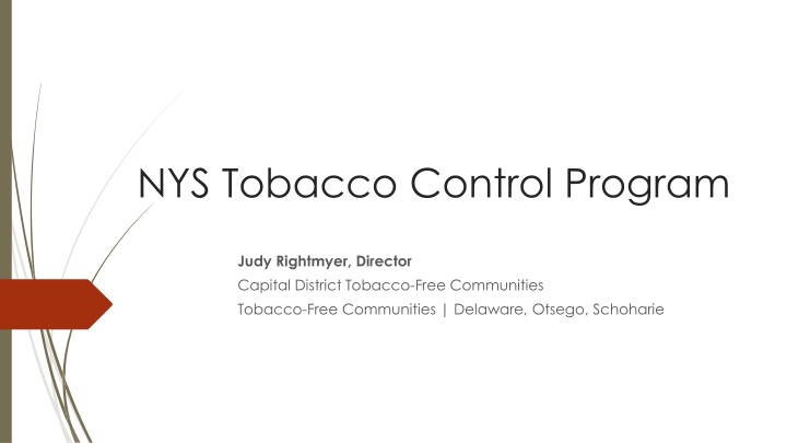 nys tobacco control program