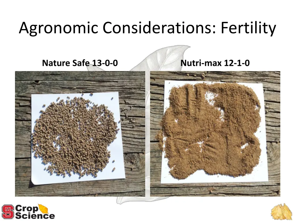 agronomic considerations fertility