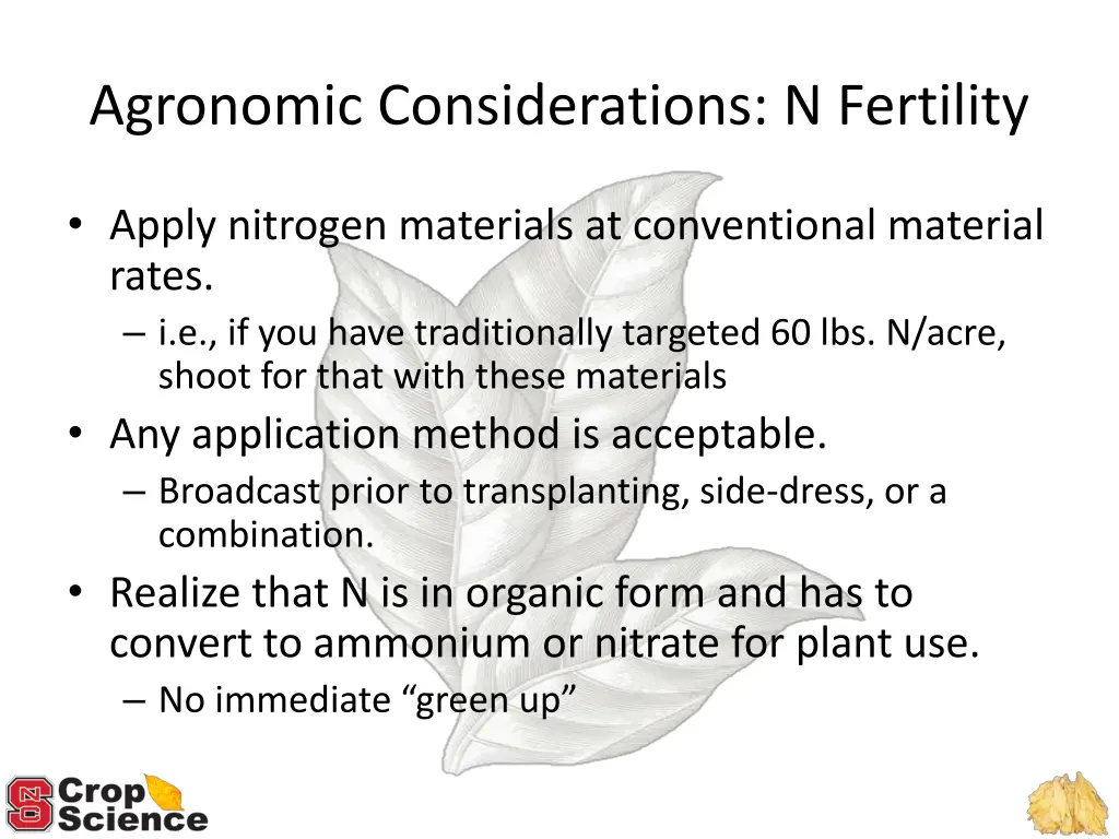 agronomic considerations n fertility