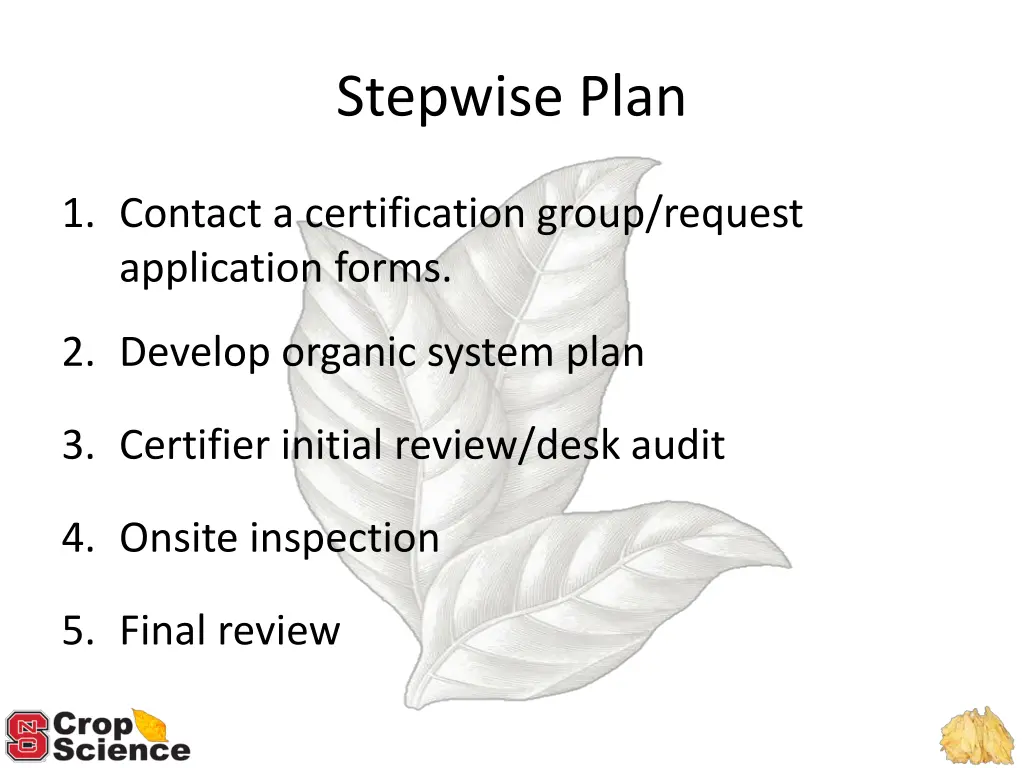 stepwise plan