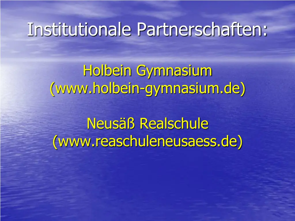 institutionale partnerschaften