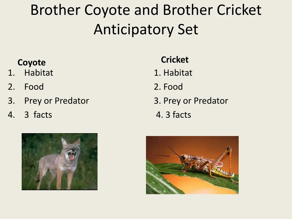 brother coyote and brother cricket anticipatory