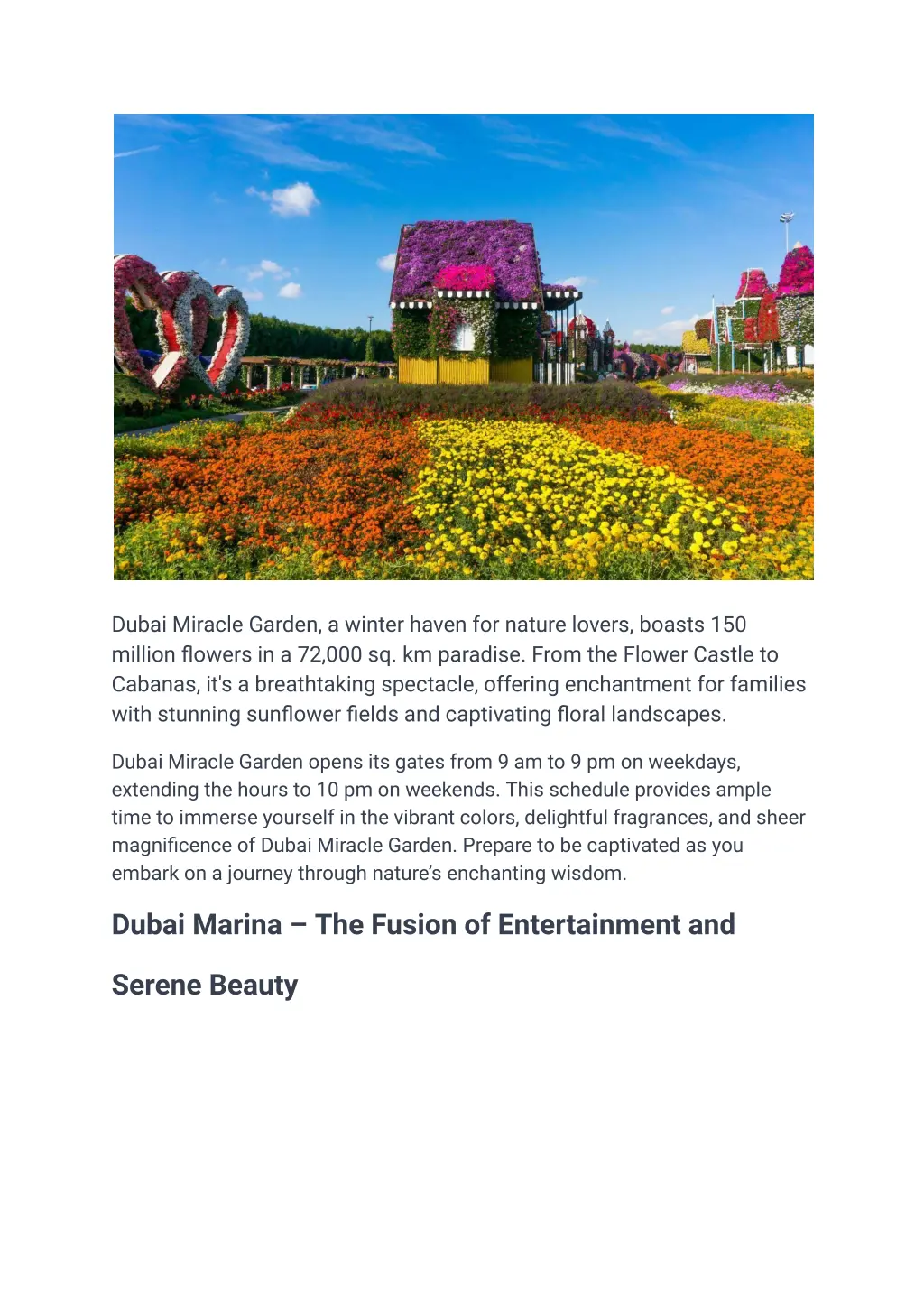 dubai miracle garden a winter haven for nature