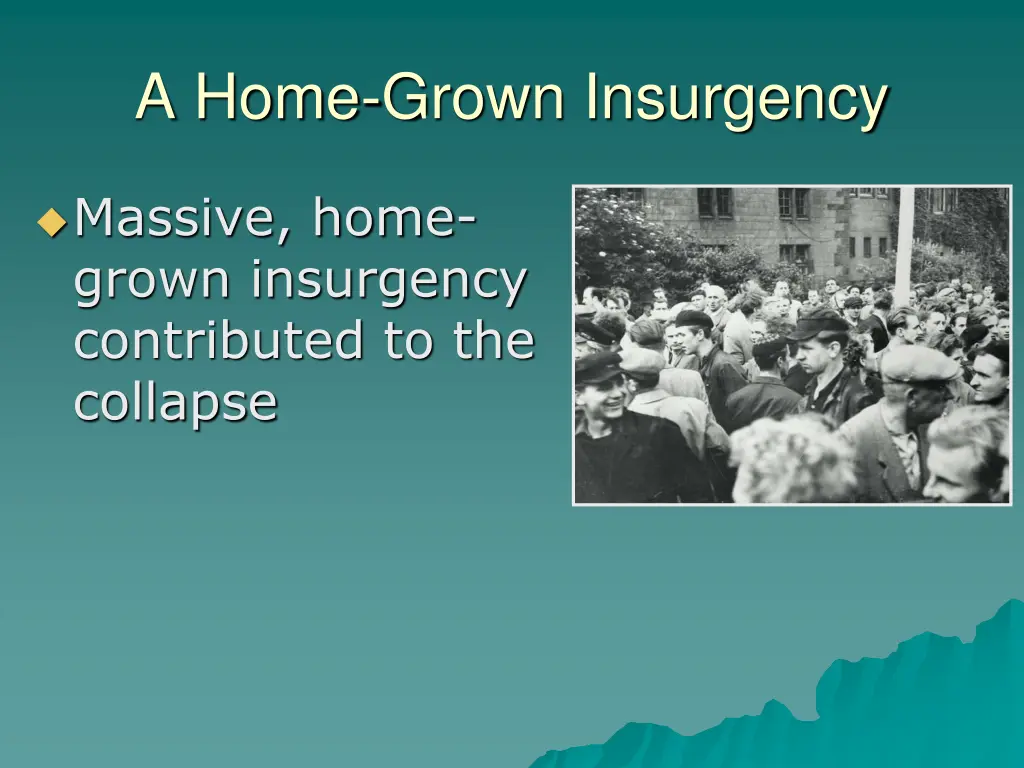 a home grown insurgency