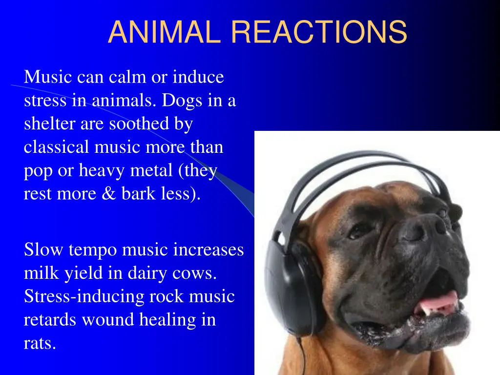 animal reactions