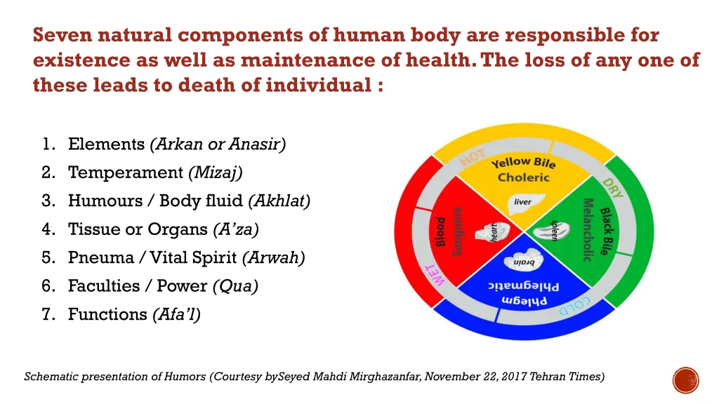 seven natural components of human body