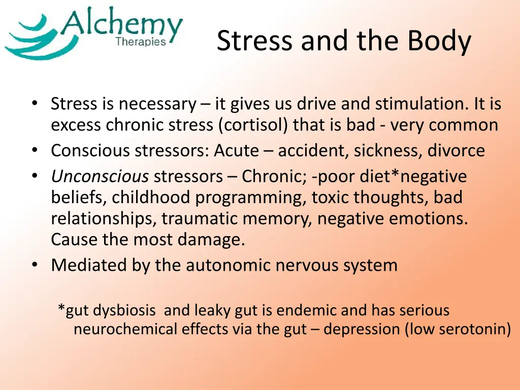 stress and the body