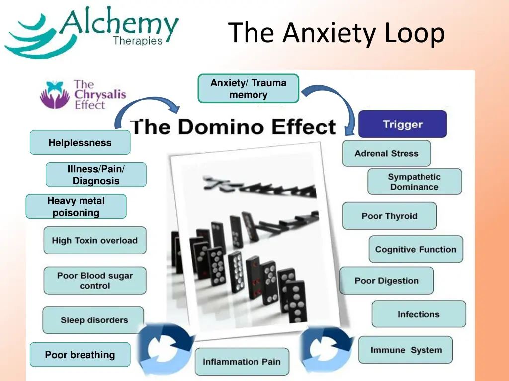 the anxiety loop