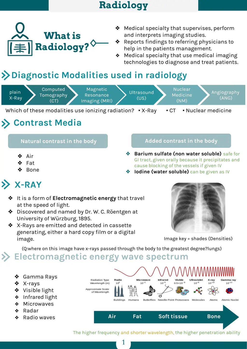 radiology