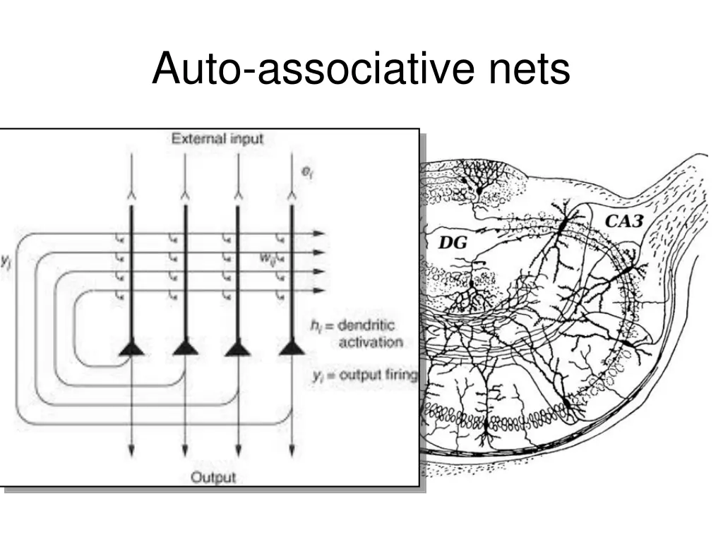 auto associative nets