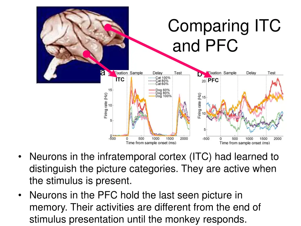 comparing itc and pfc