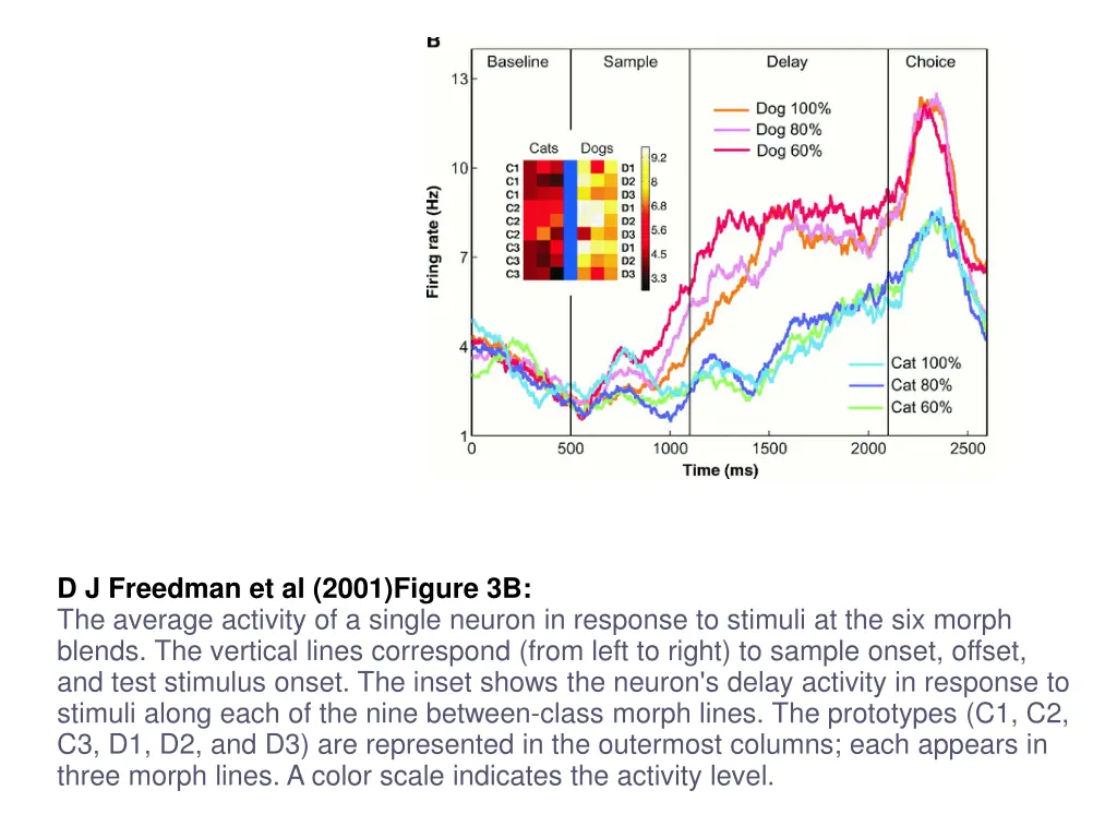 d j freedman et al 2001 figure 3b the average