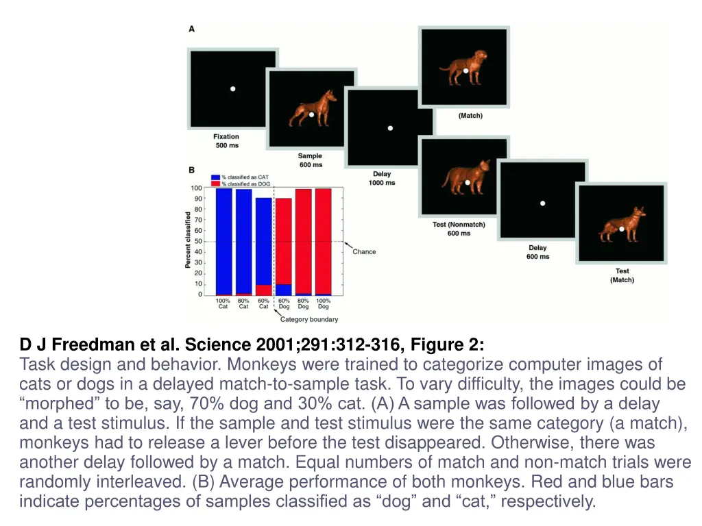 d j freedman et al science 2001