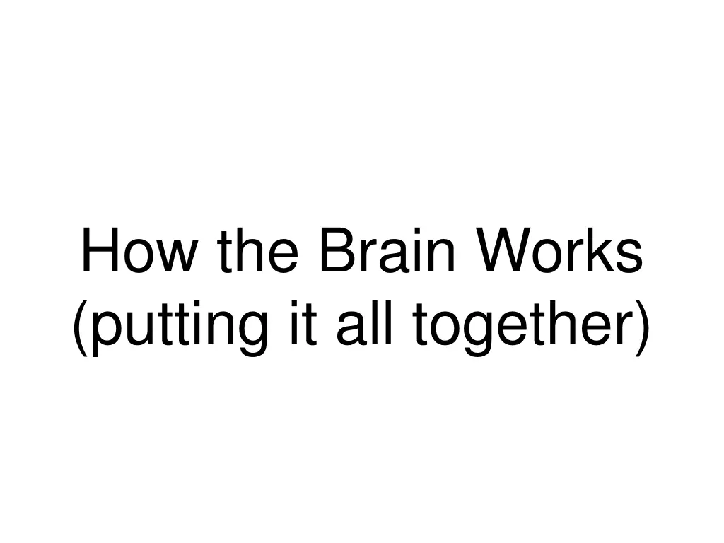 how the brain works putting it all together