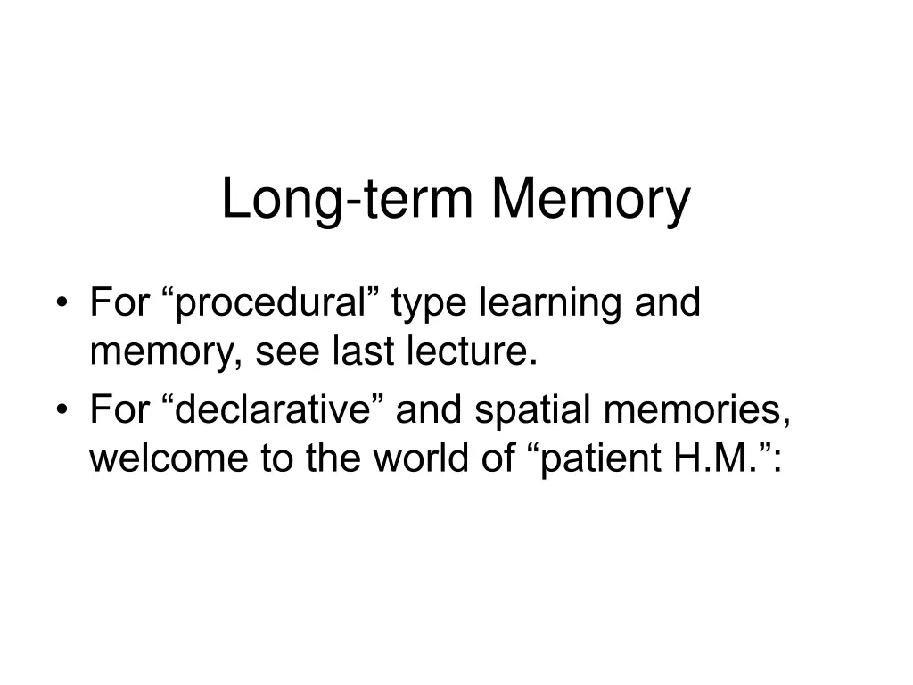 long term memory