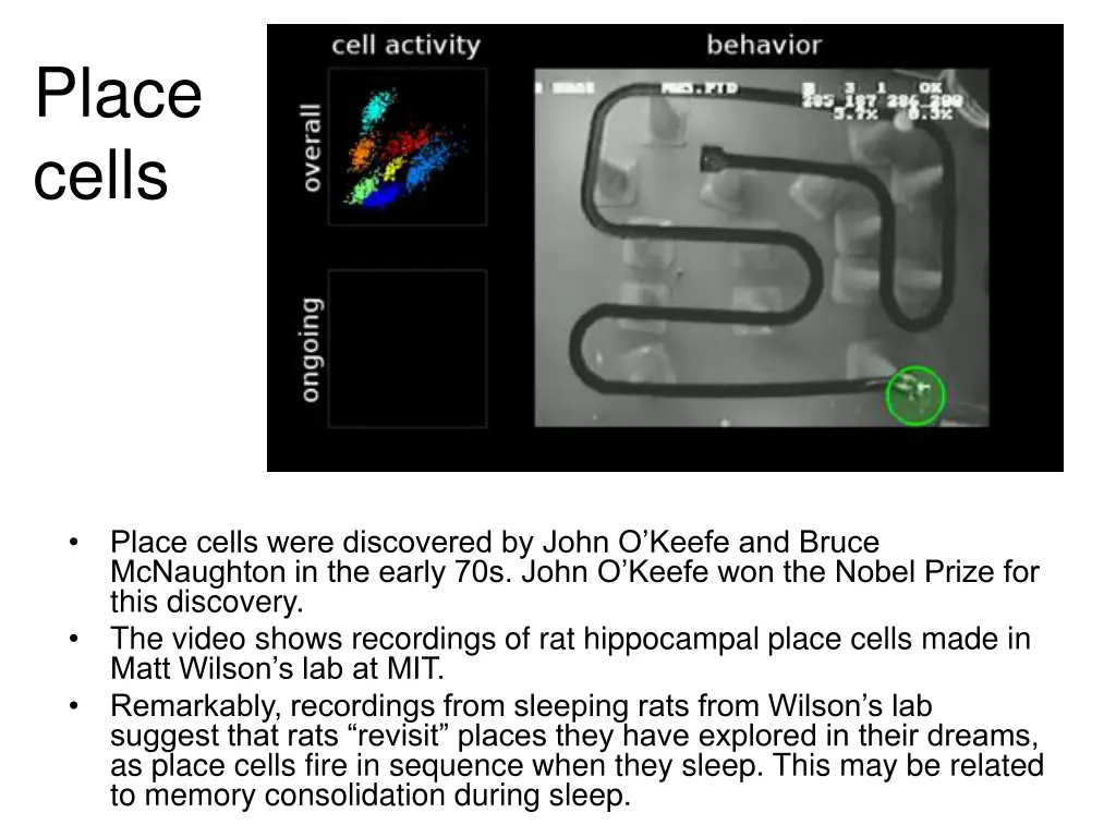 place cells