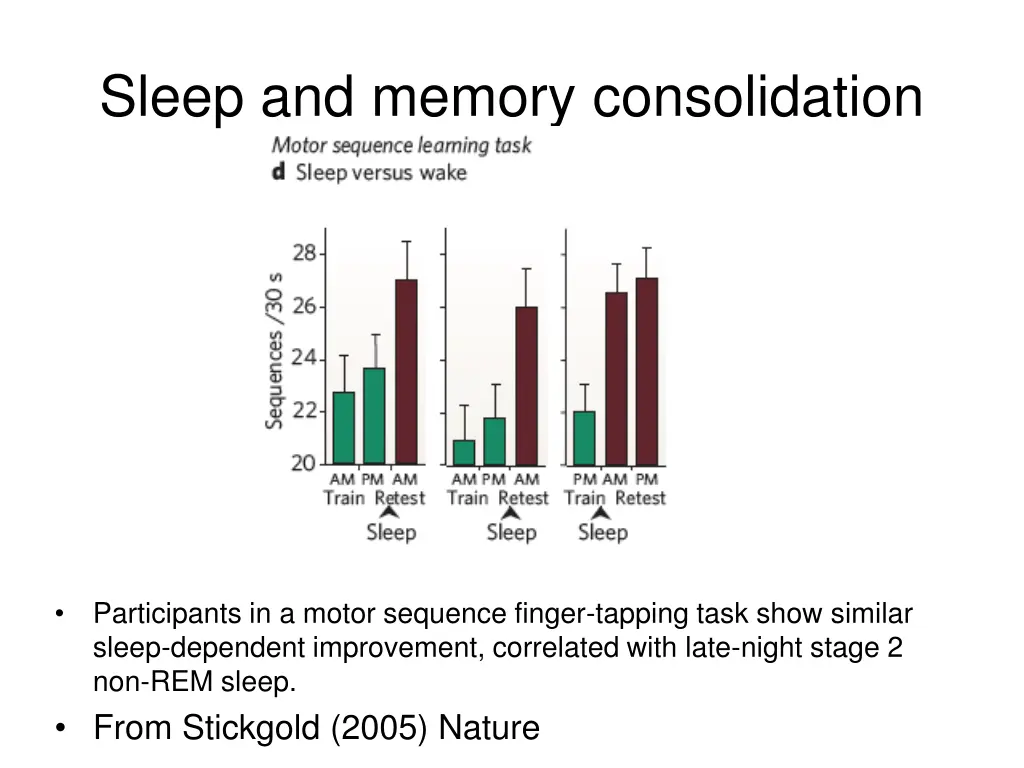 sleep and memory consolidation