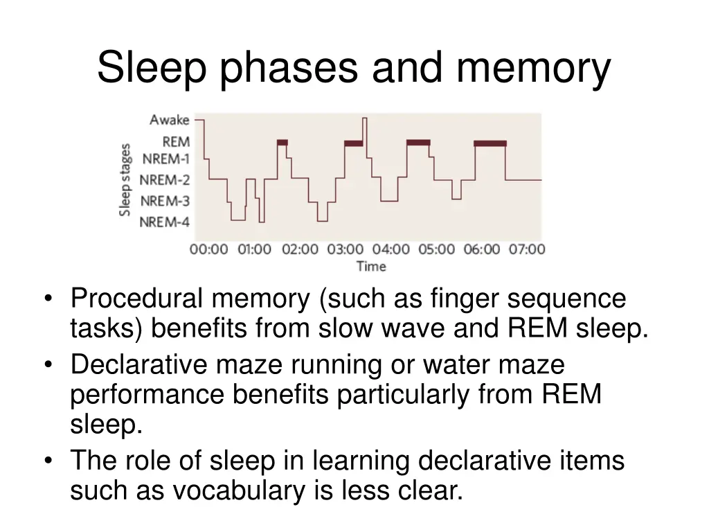 sleep phases and memory