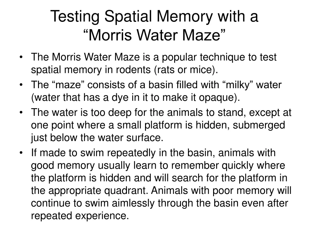 testing spatial memory with a morris water maze