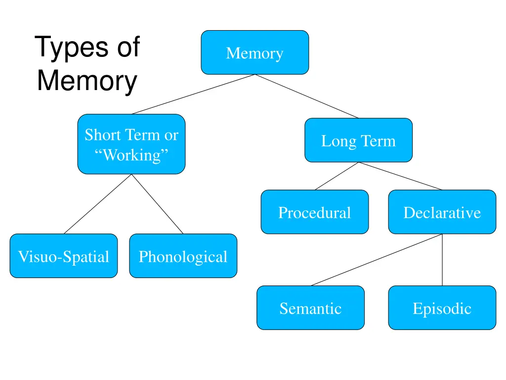 types of memory