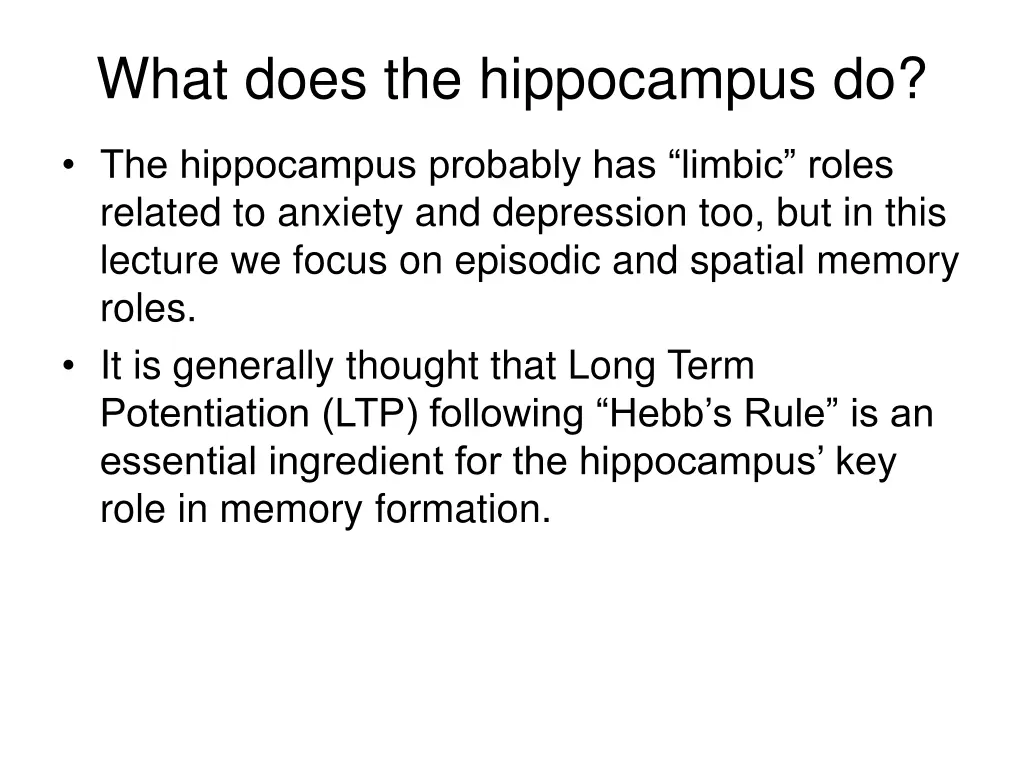 what does the hippocampus do