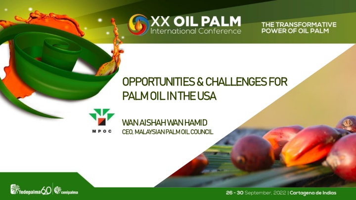 opportunities challenges for palm oil in the usa