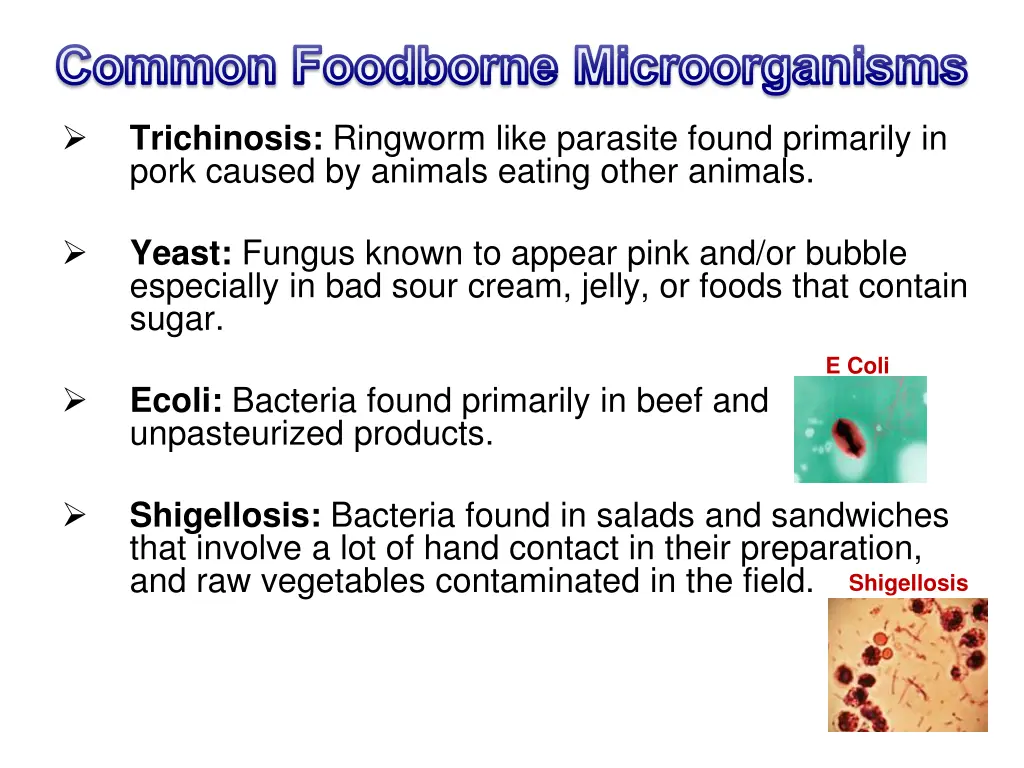 common foodborne microorganisms 1