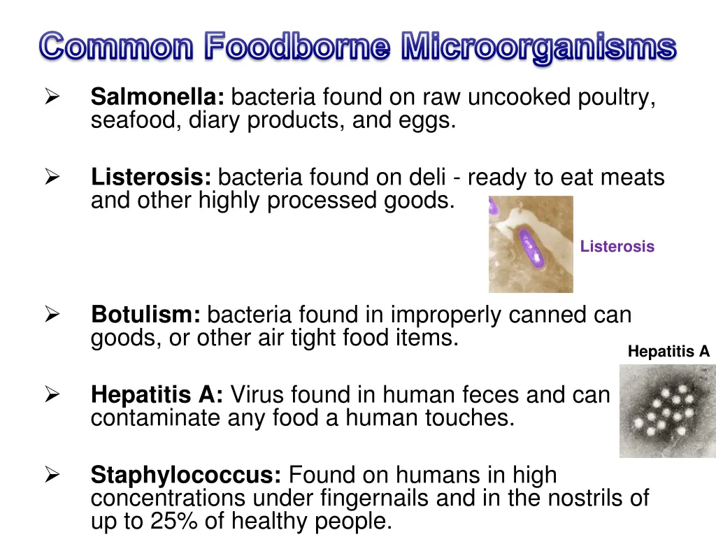 common foodborne microorganisms