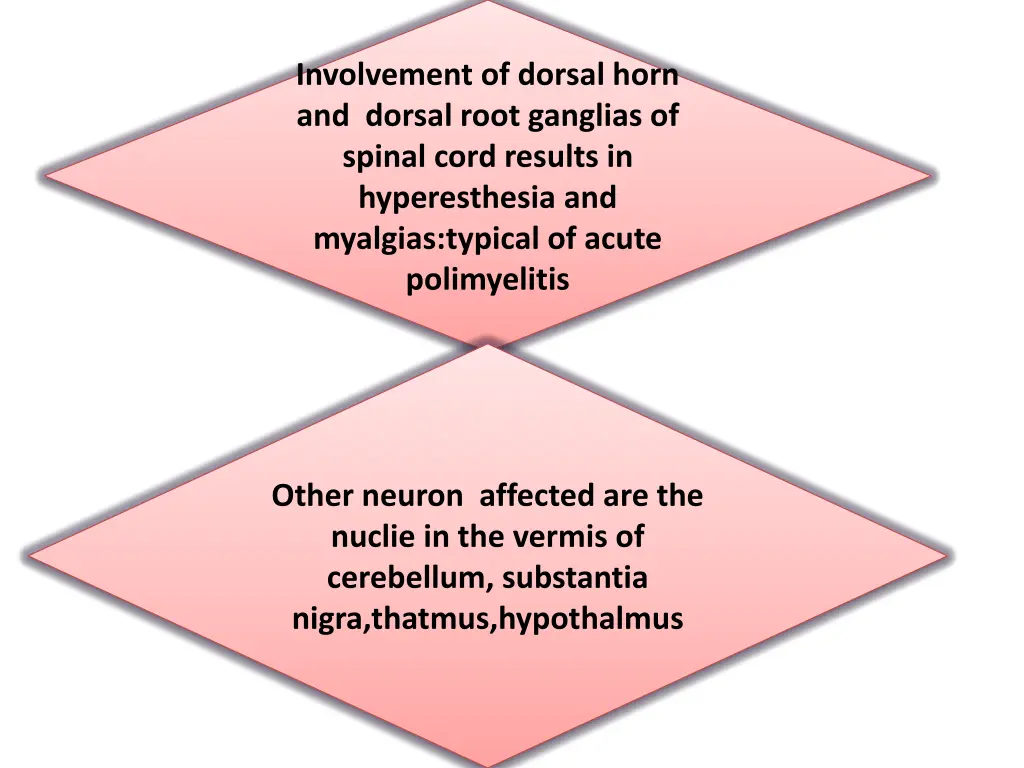 involvement of dorsal horn and dorsal root