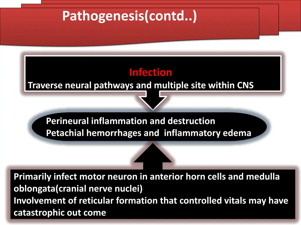 pathogenesis contd 1